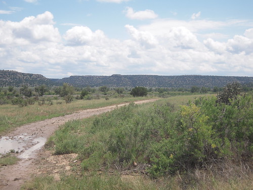 Picket Wire Canyon Hike