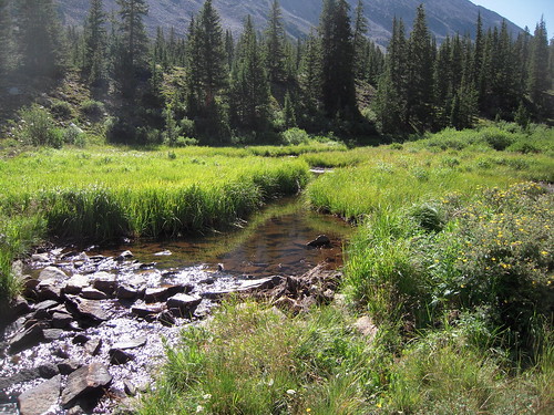 Grizzly Lake Hike